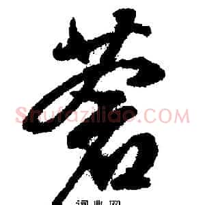 蒼