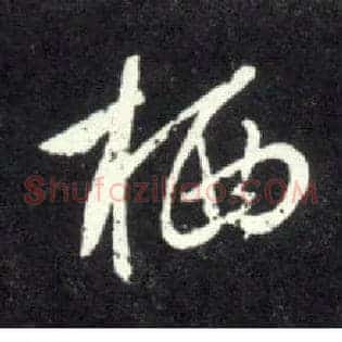 栖
