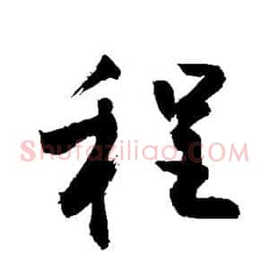 程