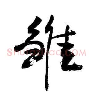 雏
