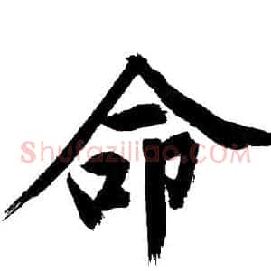 命