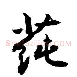 蓴