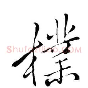 朴