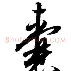 囊