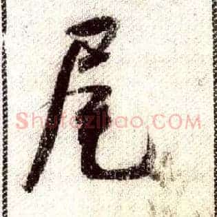 尾