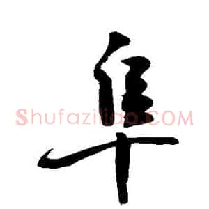 阜
