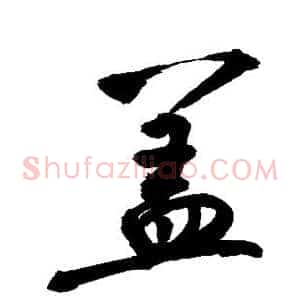 盖