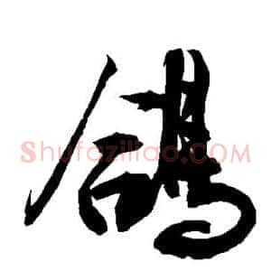鸽