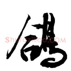 鴿