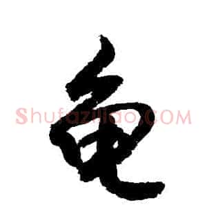 龜