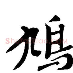 鸠