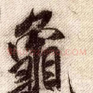 龟