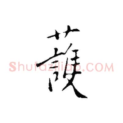 護