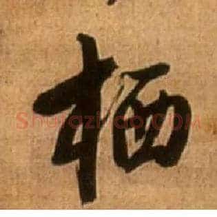 栖