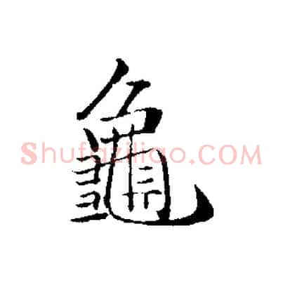 龜