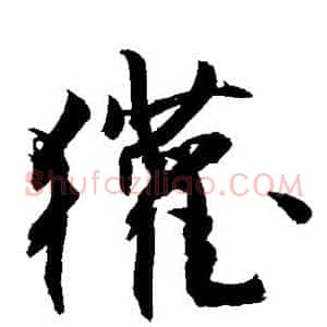 獾