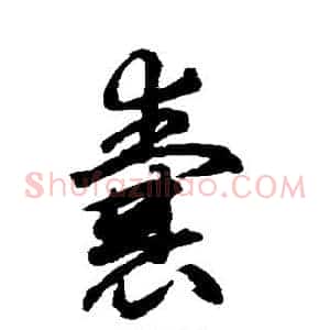 囊