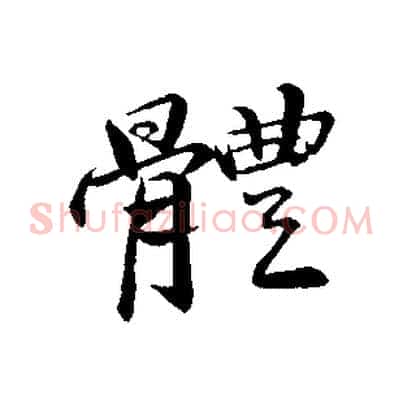 體