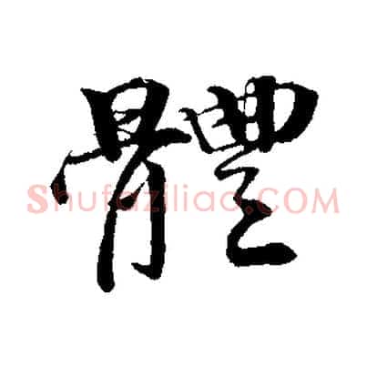 體