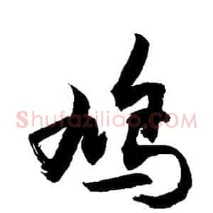 鸠