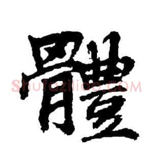 体