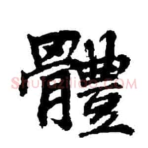 體