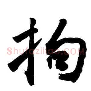 拘