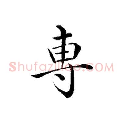 專