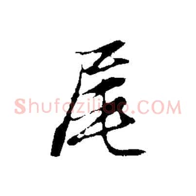 尾