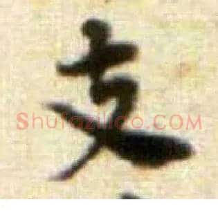 支