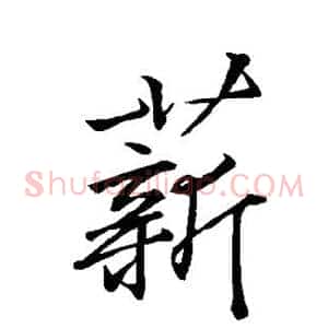 薪