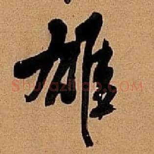 雄