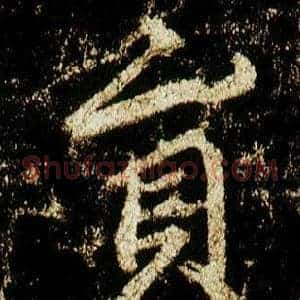 員