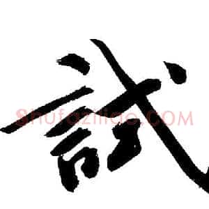 試