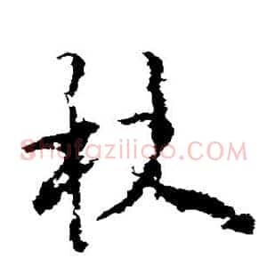杖