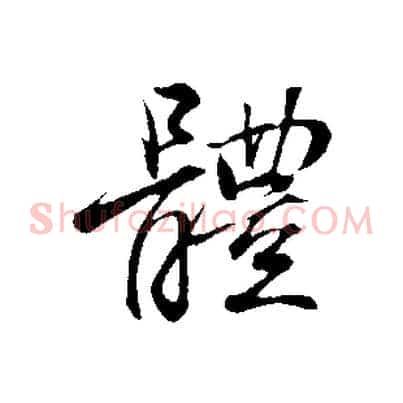 體
