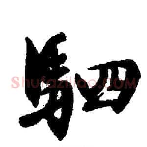 驷
