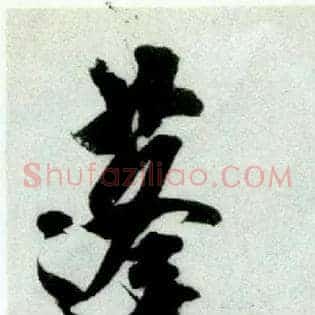 蓬