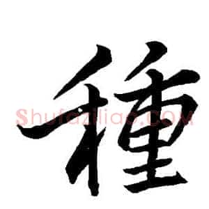 种