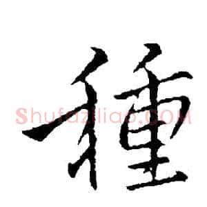 種