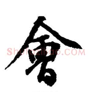 会