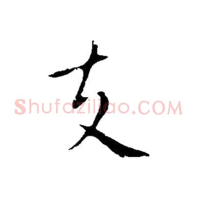 支