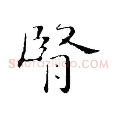 腎