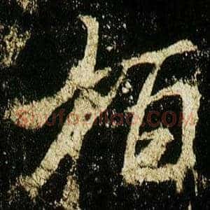 柏
