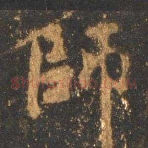 師