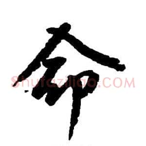 命