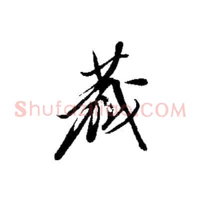 藏