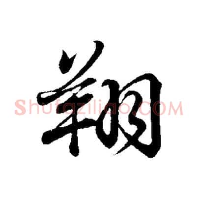 翔