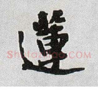 莲