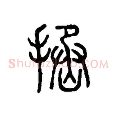 拯